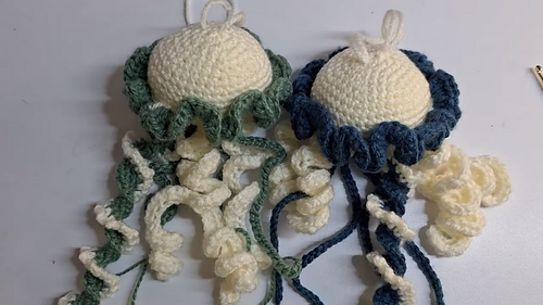 Medusa Jellyfish photo 2