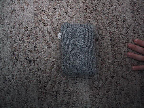 iPod Sock photo 1