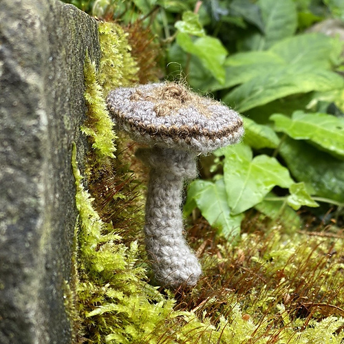 mushroom no. 1