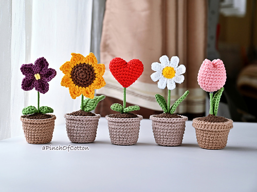 Mini Flowers in a Pot