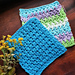 Pankh dishcloth pattern 