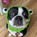 Dog Snood Costume photo 3