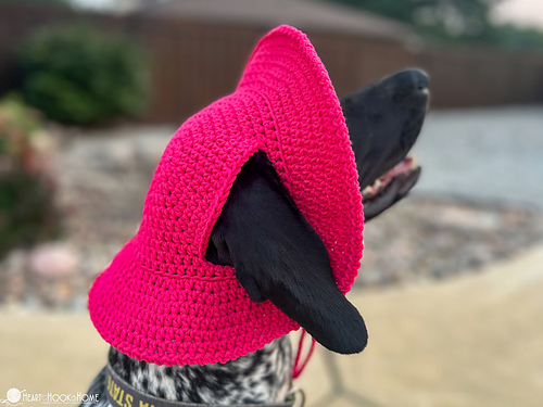 Dog Bucket Hat photo 7