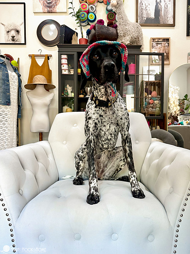 Dog Bucket Hat photo 10