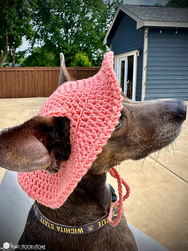 Dog Bucket Hat photo 6