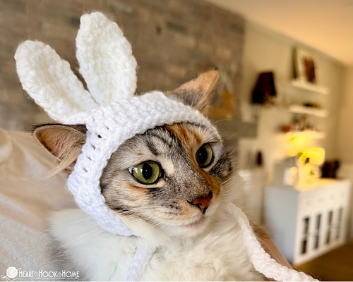Easter Bunny Cat Hat