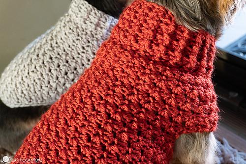 Dandy Dog Sweater photo 8
