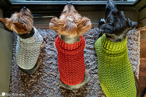 Dandy Dog Sweater photo 7