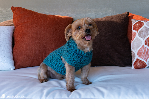 Stellar Dog Sweater photo 2
