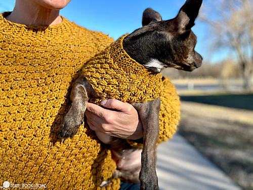 Wild Berry Dog Sweater photo 6
