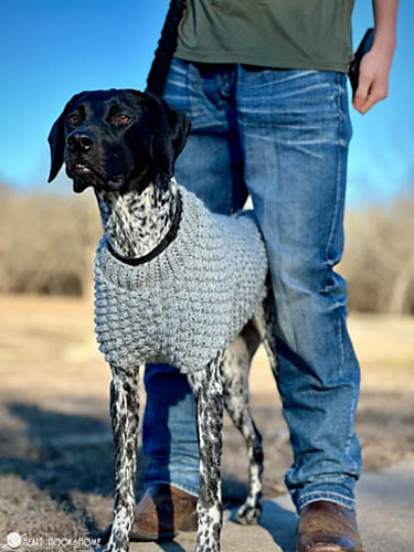Wild Berry Dog Sweater photo 2
