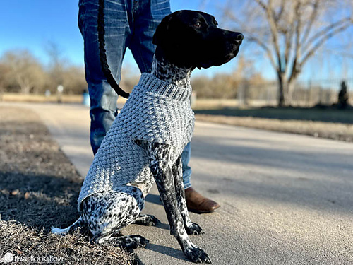 Wild Berry Dog Sweater photo 10