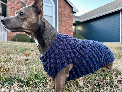 Wild Berry Dog Sweater photo 5