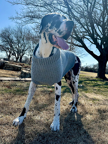 Large & Giant Dog Sweater photo 3