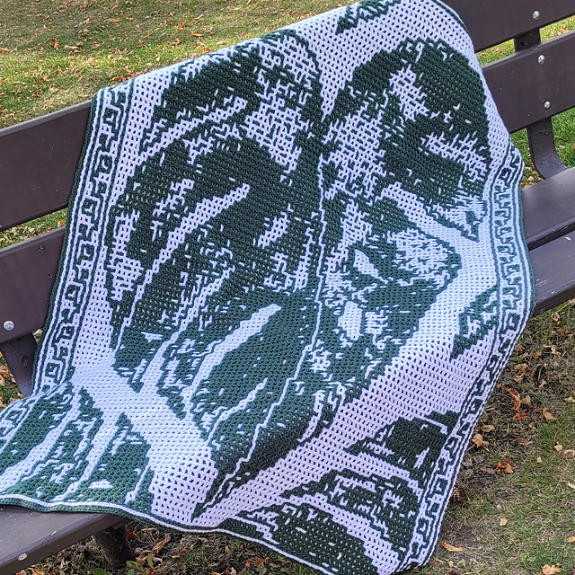Monstera Leaf
