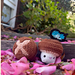 Shiitake Mushroom pattern