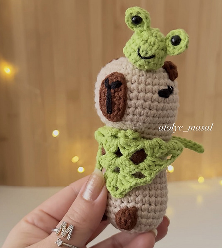 Snap Capybara Magnet Placement & Accessory