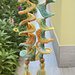 Easy Wind Spinner pattern
