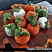 The Pumpkin Patch Ornaments pattern 