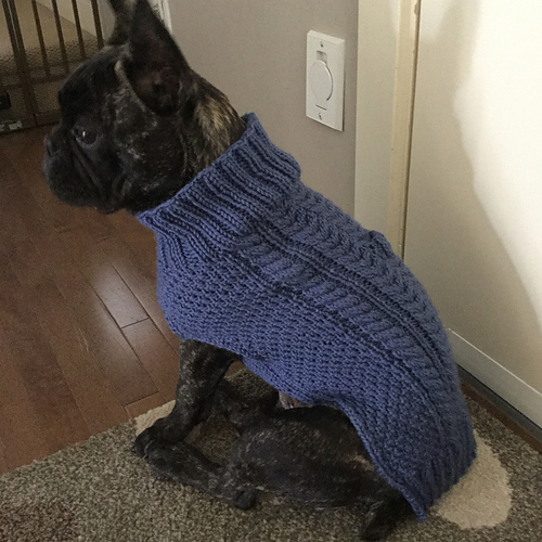 Cabled Dog Sweater photo 4