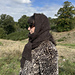Sloane Scoodie pattern 