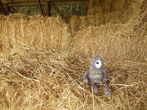 Murray Jr. photo 9