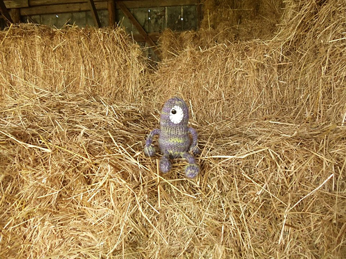 Murray Jr. photo 11