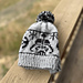 Darth Vader/Star Wars Inspired Hat pattern 