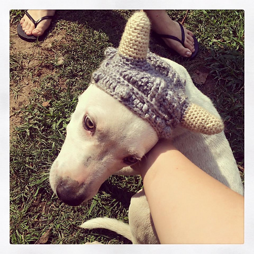 Ravelry Dog Viking Hat pattern by Mikayla Hoople