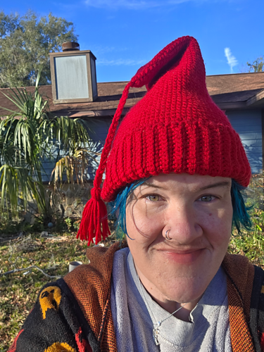 Norwegian Protest Hat photo 2