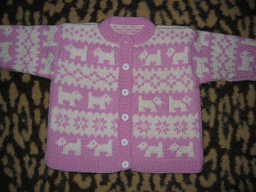 Scottie photo 3