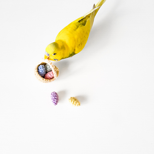 Alice the Easter Bilby - Bilby & Ben