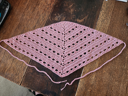 Desert Rose Bandana photo 4