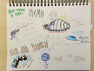 My very detailed and easy to follow notes on this project lol.