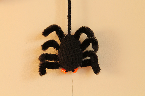 frames and spider for Halloween photo 2
