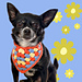 Classic Pet Bandana pattern