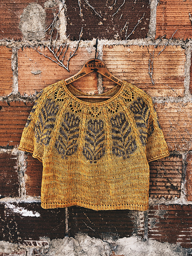 Misurina - Caitlin Hunter