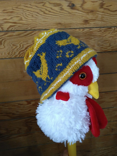 Rhode Island red photo 2