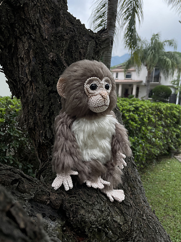 Punch Monkey