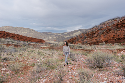 Desert Days Genser - Briana Arlene