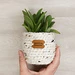 Mini Succulent Basket pattern 