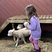 Great NZ Muster Pullover - Kids pattern
