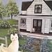 Tiny Window Cat photo 4