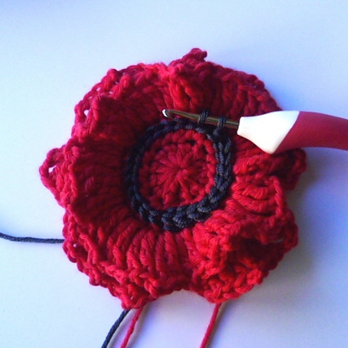 Remembrance Poppy photo 5