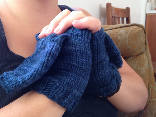 Marion Street Mittens photo 2