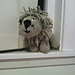 Lenny the Lion pattern 