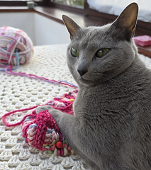 No peeking! (feline supervisor said so)