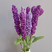 Lavender photo 4