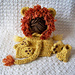Lion Paws Booties and Mittens photo 3