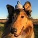 Pet Christmas Ornament Cap Hat pattern 